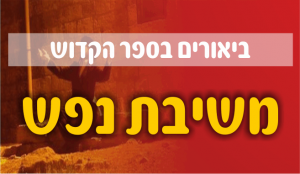 סדרת מאמרים נפלאה על פי הספר משיבת נפש