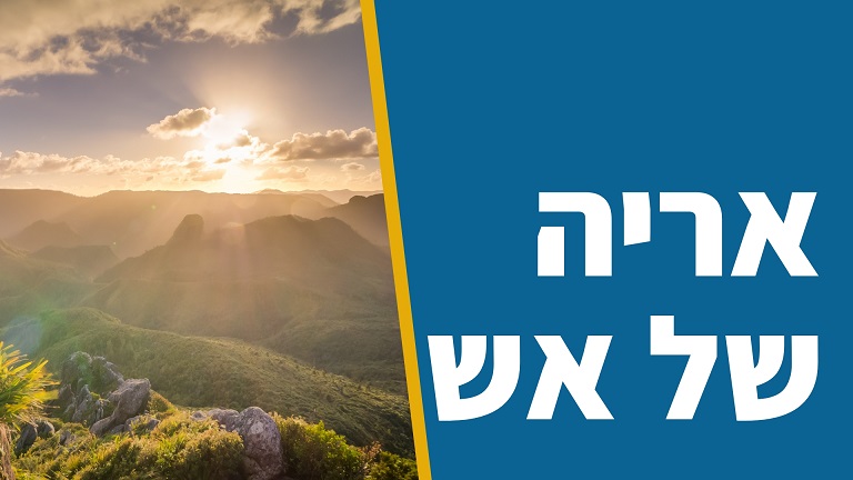 אריה של אש - שער ברסלב