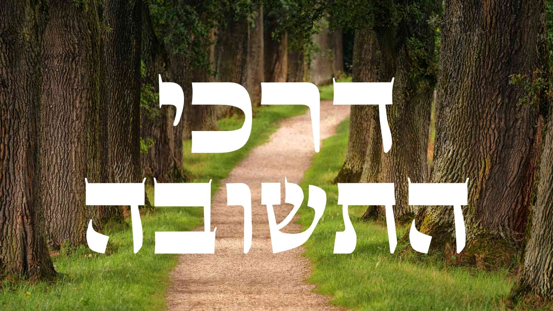 דרכי התשובה - שער ברסלב