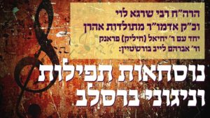 יעלה תחנונינו – אצל האדמו"ר מתולדות אהרן