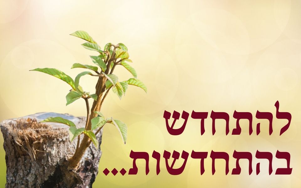 להתחדש בהתחדשות