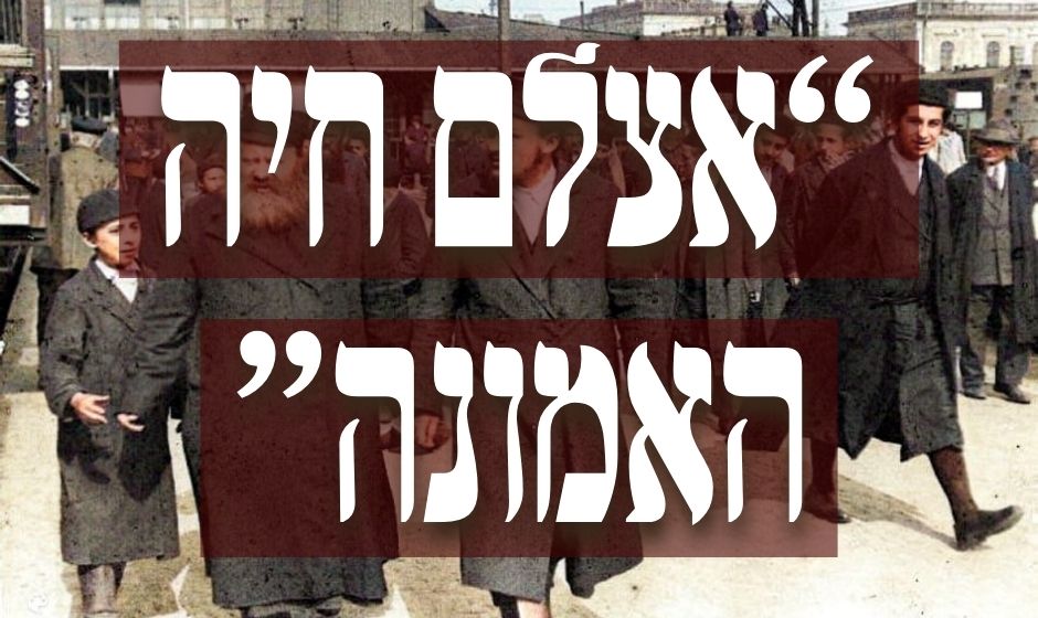 היסטוריה: