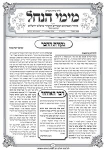 עלון מימי הנחל 24