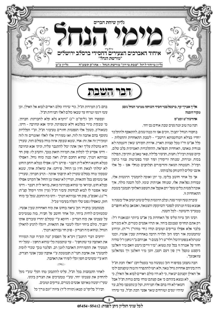 עלון מימי הנחל 29