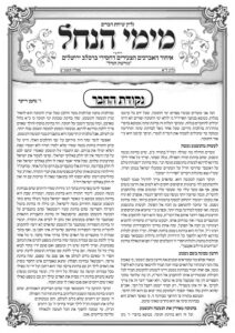 עלון מימי הנחל 31
