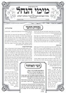 עלון מימי הנחל 33