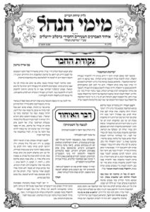 עלון מימי הנחל 8