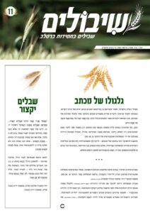 שיבולים 11