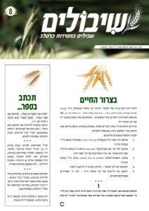 שיבולים 8
