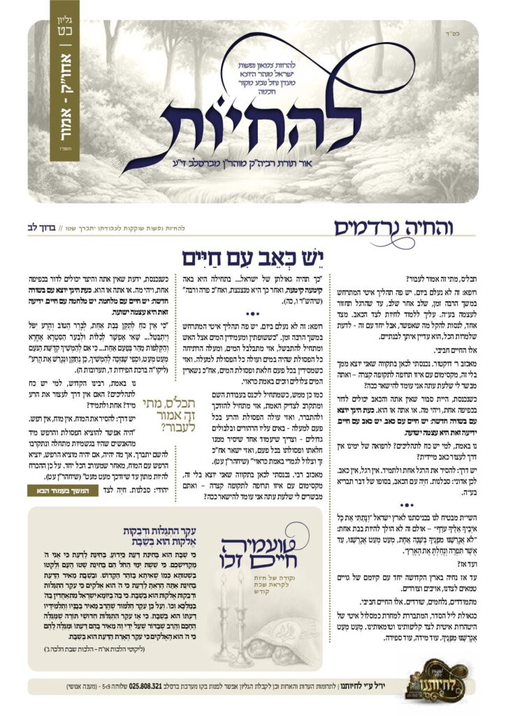 להחיות – אחו"ק אמור תשפ"ו