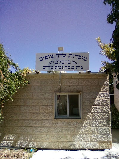תמונה