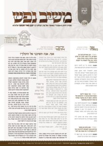 משיב נפש – דברים ותשעה באב – תשפ"ו