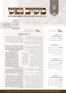 משיב נפש – מטות-מסעי תשפ"ו