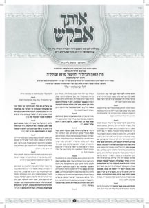 אותך אבקש 13 – כי תצא כי תבוא תשפד
