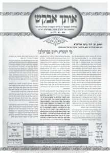 אותך אבקש 20 – וארא בא תשפה